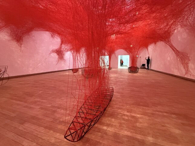 Вселенная из ниток Чихару Шиоты