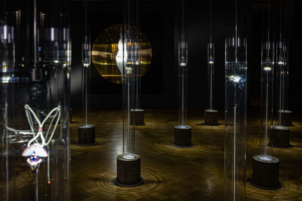 Брошь 'Имаго' - центральный образ выставки