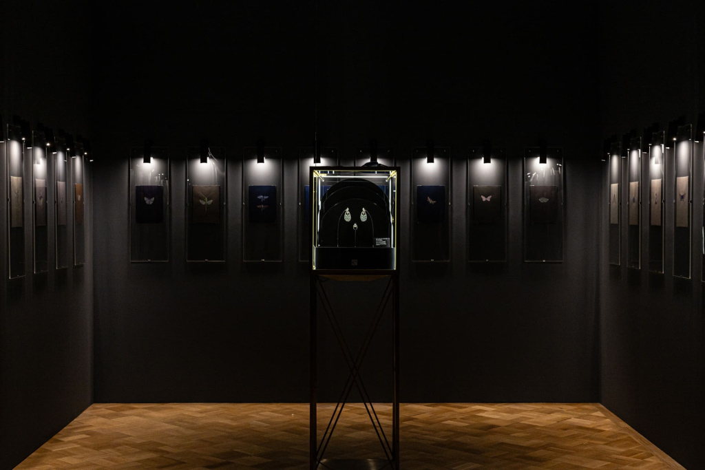 Первая часть выставки 'На свет из темноты' - 'Бабочки. Затмение'