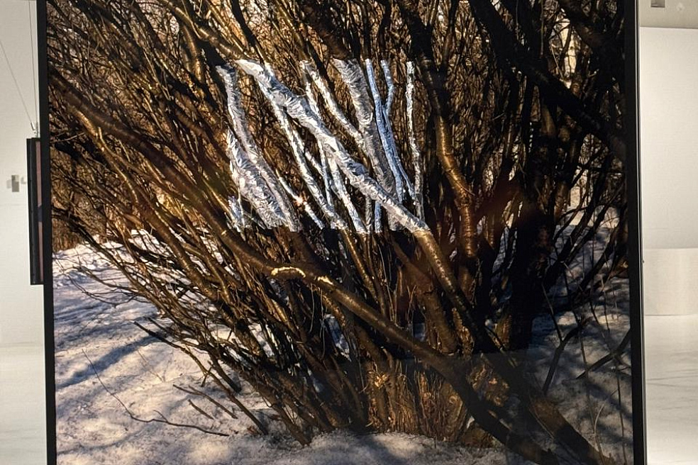 Экскурсия с Франциско Инфанте по выставке «Метафоры бесконечности»