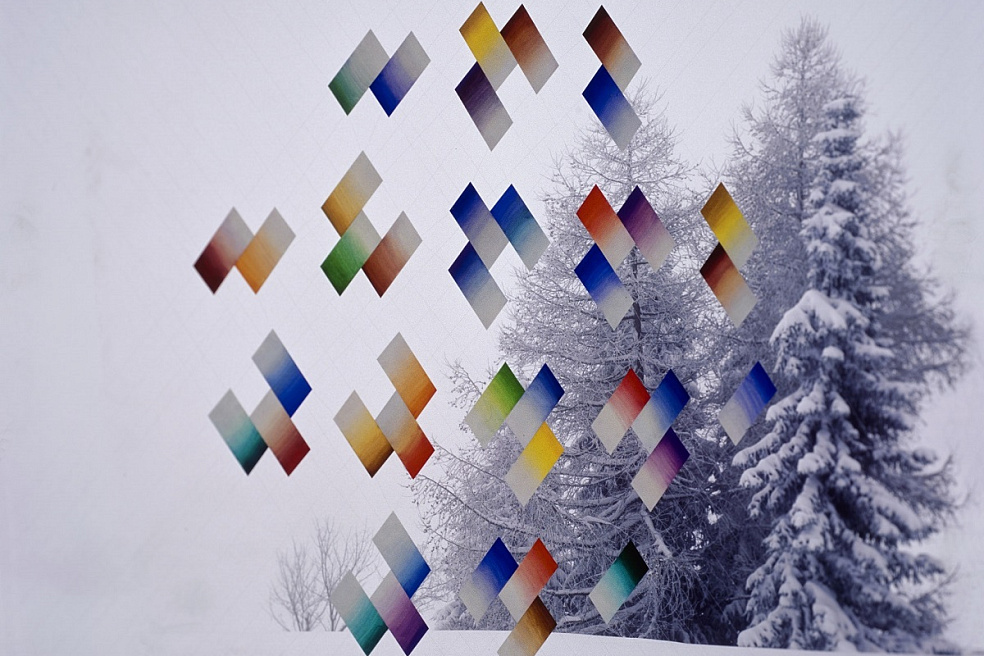 Франциско Инфанте-Арана. Из цикла Альпийский снег. 2009. ГТГ